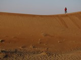 AlAin073_Desert