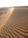 AlAin083_Desert