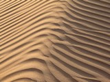 AlAin091_Desert