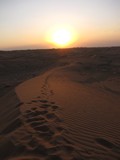 AlAin229_Desert