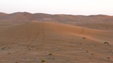 AlAin236_Desert