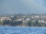 C134_Sami