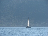 E335_Meganissi_SailingNorth