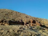 Craters284_PetrifiedForest