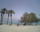 DeadSea104_EinGediOasis