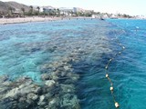 Israel1090_RedSea_SnorkelReef