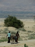 Israel2474_Galilee_Jericho