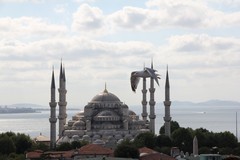 Turkey0329_Istanbul_BlueMosque