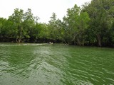 PhangNga039_Canals