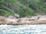 Similan278_CoralsAbove