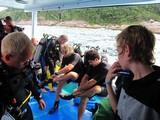 Similan283_CoralsAbove