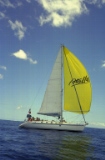 Admiring the Spinaker sail (1)