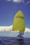 Admiring the Spinaker sail (2)