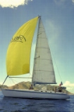 Admiring the Spinaker sail (3)