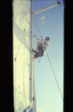 Climbing the sail (1)