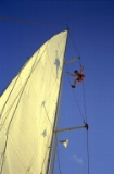 Climbing the sail (2)