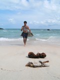 Samui771_CoconutEpisode