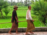 Ubud0044_RiceFields_AyungRiver