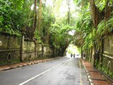 Ubud0111_MonkeyForest