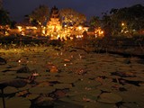 Ubud0305_LotusByNight