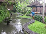 Ubud0426_Pertiwi_Blessings