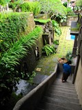 Ubud0470_Pertiwi_Blessings