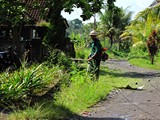 Ubud0540_Pertiwi_AbovePool