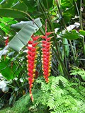 Ubud0591_Pertiwi_BelowPool