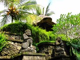 Ubud0623_Pertiwi_AroundPool