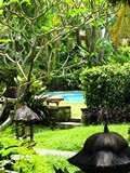 Ubud0641_Pertiwi_AroundPool