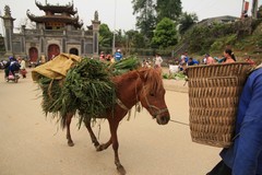 Vietnam0414_BacHa_SpiceMarket