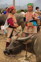 Vietnam0724_BacHa_AnimalMarket