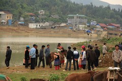 Vietnam0954_BacHa_HorseBirdMarket