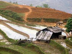 Vietnam2525_LaoChai_ViewPoint