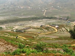 Vietnam2749_LaoChai_WorkingFields