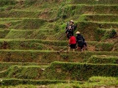 Vietnam3221_LaoChai_ValleyFloor