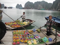 Vietnam4409_HaLong_Village