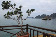 Vietnam5042_HaLong_KissingRocks