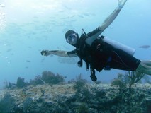 Y6295_RivieraMaya_ReefDive2