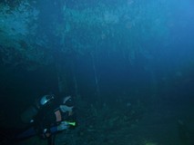 Y6447_RivieraMaya_CavernDive1