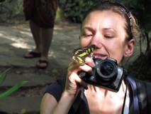 Y6918_Xcaret_Mariposario