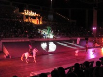 Y7394_Xcaret_EveningShowMaya