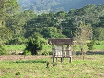 Y8409_Driving_SouthOfPalenque