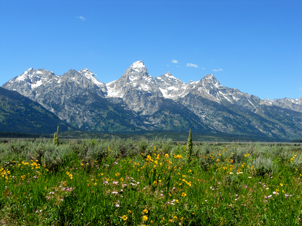 Grand Teton