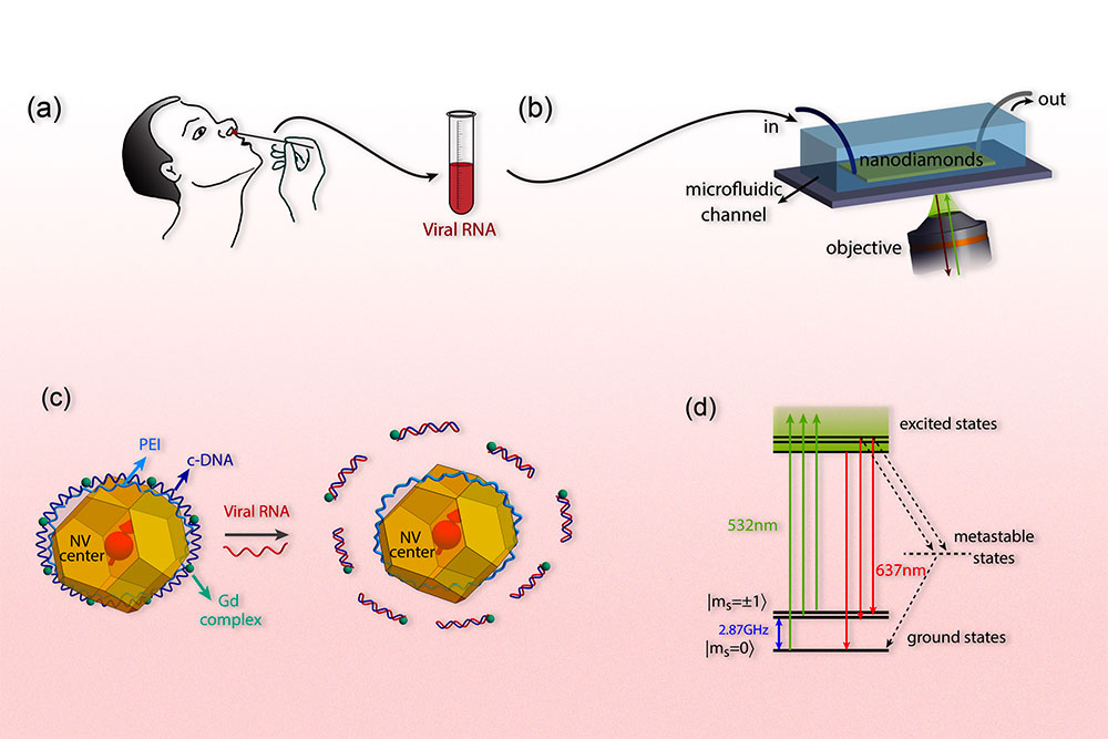 Rapid Covid detector, MIT