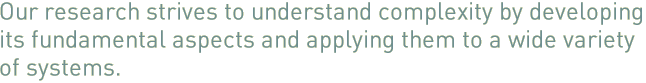 Our research strives to understand complexity by developing its fundamental aspects and applying them to a wide variety of systems.