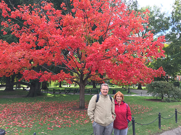 Boston Common (October 2015)