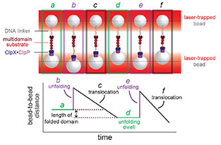 AO RESEARCH IMAGE