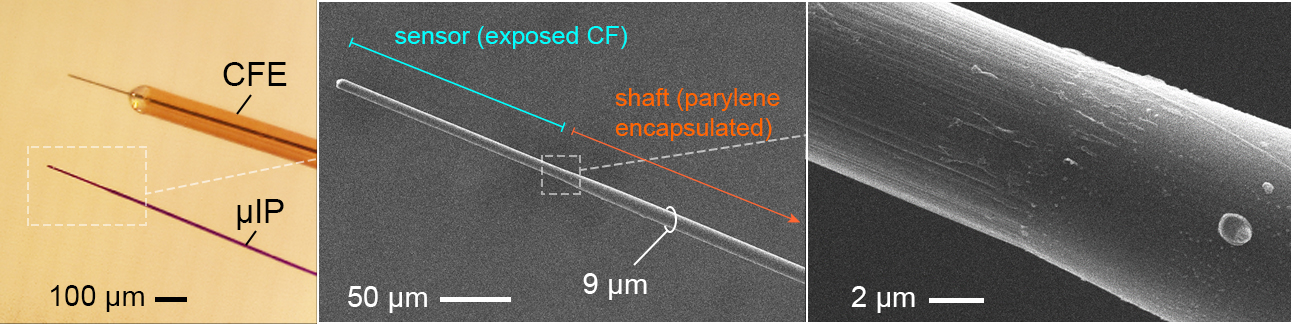 cellular-scale dopamine sensors