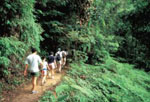 Bukit Timah Nature Reserve